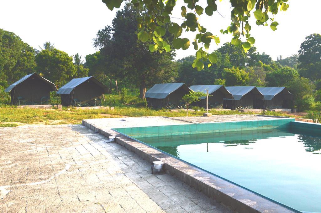 Wild Panthera Yala Tissamaharama Exterior photo