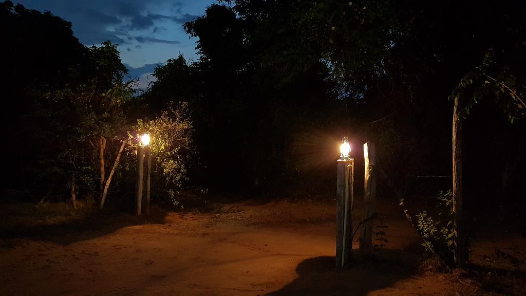 Wild Panthera Yala Tissamaharama Exterior photo